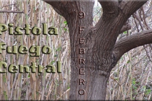 9 febrero 2014