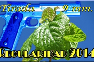 Regularidad 9 mm23 Noviembre 2014