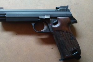 ENERO  DIA  12  TIRADA 9 mm