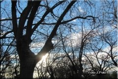 IMG_0658